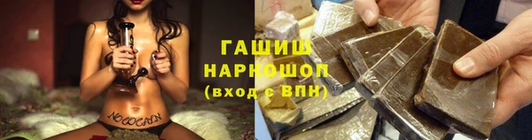 прущие грибы Алзамай