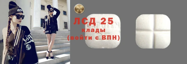 прущие грибы Алзамай